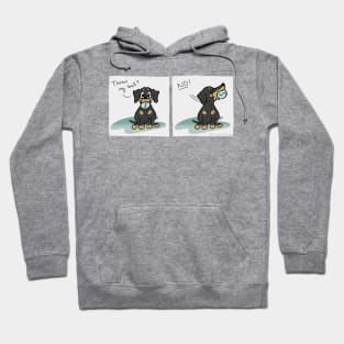 Throw My Ball?  - Sausage Prince Comics Hoodie